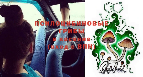 мяу мяу мука Алзамай