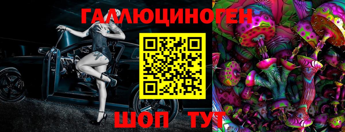 Клин  Псилоцибиновые грибы GOLDEN TEACHER  где продают наркотики  Вход с VPN 