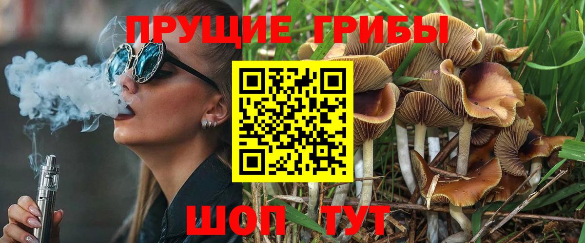 Псилоцибиновые грибы ЛСД Клин